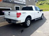 Used 2014 Ford F150 XLT w/ Equipment Group 302A Luxury image 3