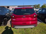 Used 2019 Ford Escape SE image 5