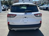 Used 2022 Ford Escape SE image 6