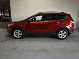 Used 2014 Ford Escape SE w/ Equipment Group 201A image 2