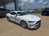 Used 2019 Ford Mustang Coupe image 2