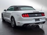 Used 2015 Ford Mustang Premium image 3