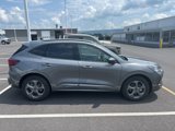Used 2024 Ford Escape ST-Line image 6