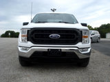 Used 2022 Ford F150 XL w/ Equipment Group 101A High image 3