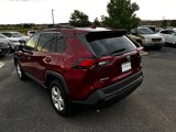 Used 2019 Toyota RAV4 LE image 5