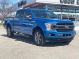 Used 2019 Ford F150 XLT w/ Equipment Group 302A Luxury image 3