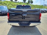 Used 2016 Ford F150 XLT w/ Equipment Group 302A Luxury image 3