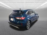 Used 2020 Ford Escape SEL image 6
