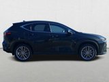 Certified 2024 Lexus NX 300h AWD w/ Vision Package image 4
