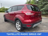 Used 2014 Ford Escape SE image 5