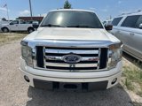 Used 2009 Ford F150 Platinum image 2