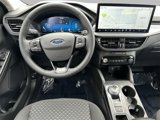 Used 2023 Ford Escape Active w/ Tech Pack #2 image 4
