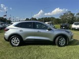 Used 2024 Ford Escape Active w/ Tech Pack #2 image 4