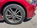 Used 2015 Ford Mustang Premium w/ Equipment Group 201A image 2