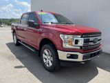 Used 2018 Ford F150 XLT w/ Equipment Group 302A Luxury image 3
