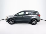 Used 2019 Ford Escape SEL image 4