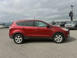 Used 2014 Ford Escape SE image 2