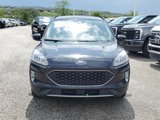 Used 2020 Ford Escape SEL image 2
