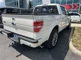 Used 2013 Ford F150 Limited image 3