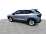 Used 2024 Ford Escape Active w/ Tech Pack #1 image 5