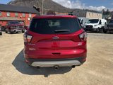 Used 2017 Ford Escape SE w/ Equipment Group 201A image 4