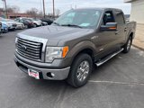 Used 2011 Ford F150 XLT w/ XLT Chrome Pkg image 3