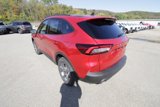 New 2025 Ford Escape ST-Line image 5