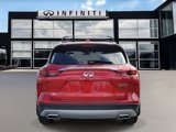 New 2024 INFINITI QX50 Autograph w/ Accent Package image 5