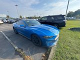 Used 2019 Ford Mustang Coupe w/ Equipment Group 101A image 3