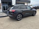 Used 2022 Ford Escape SE w/ SE Sport Appearance Package image 3