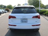 Certified 2024 Audi Q5 2.0T Premium image 4
