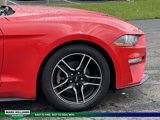 Used 2020 Ford Mustang Premium image 6