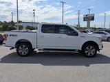 Used 2019 Ford F150 XLT w/ Equipment Group 302A Luxury image 4
