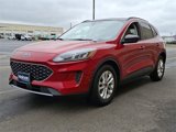Used 2022 Ford Escape SE w/ Cold Weather Package image 4