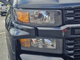 Used 2020 Chevrolet Silverado 1500 Custom Trail Boss w/ Custom Convenience Package image 4