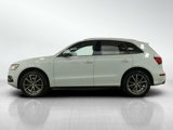 Used 2014 Audi SQ5 Prestige image 2