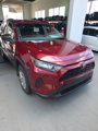 Certified 2019 Toyota RAV4 LE image 2
