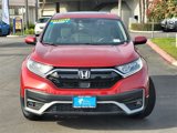 Certified 2020 Honda CR-V EX image 3