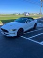 Used 2022 Ford Mustang Premium image 2