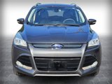 Used 2016 Ford Escape Titanium image 2