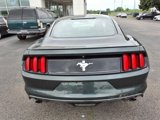Used 2016 Ford Mustang Coupe w/ Equipment Group 051A image 4