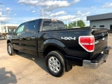 Used 2013 Ford F150 XLT w/ Luxury Equipment Group image 3