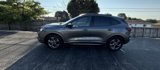 Used 2023 Ford Escape ST-Line w/ Tech Pack #1 image 4