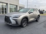 Used 2023 Lexus NX 350 AWD w/ Premium Package image 2