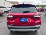 Used 2020 Ford Escape SE image 6