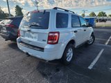 Used 2012 Ford Escape XLT image 4