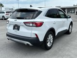 Used 2020 Ford Escape SE image 5