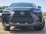 New 2025 Lexus NX 250 FWD image 2
