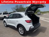 Used 2022 Ford Escape SE w/ Convenience Package image 4