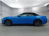 Used 2024 Ford Mustang Premium w/ 2.3L High Performance Package image 2